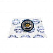 Термостат PREMIUM Чери КуКу (PR2213)