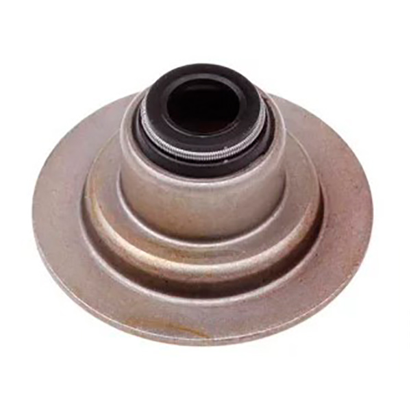 Сальник клапана 1.6 Чери Амулет 480-1007020 - mahina.in.ua