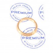 Кольцо дифференциала фиксирующее PREMIUM Чери Амулет (PR2081)