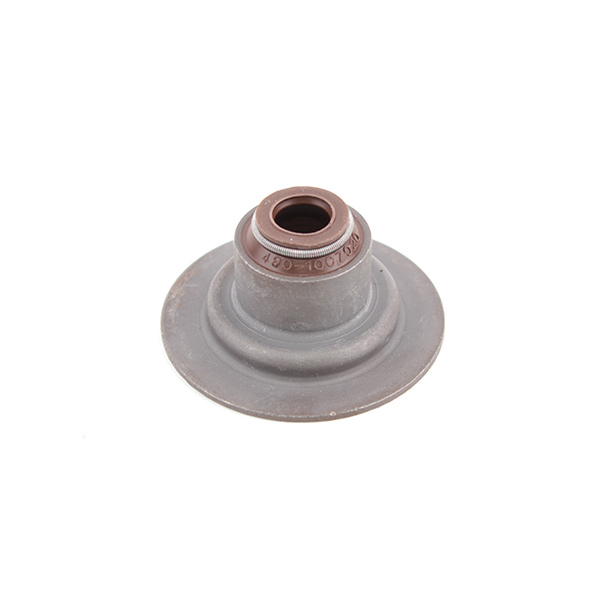 Сальник клапана 1.6 Чери Амулет 480-1007020 - mahina.in.ua