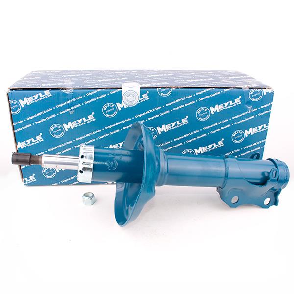 Амортизатор передний масло ЗАЗ Форза (Чери А13) A13-2905010 - mahina.in.ua