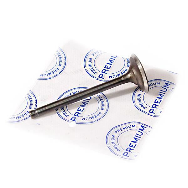 Клапан впускной Джили СК E010000501 - mahina.in.ua