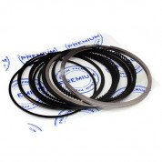 Кольца поршневые STD PREMIUM Чери Е5 (PR0270)