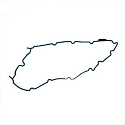 Прокладка клапанной крышки Чери Тигго 2 (A13T) D4G15B-1003042 - mahina.in.ua