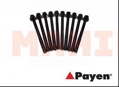 Болт головки блока цилиндров (ком-кт 10 шт) PAYEN Бид Ф3 471Q-1000810