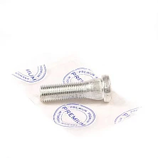 Шпилька колеса Чери Бит S21-3100111 - mahina.in.ua