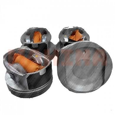 Поршень с пальцем STD (ком-кт 4 шт) Бид С6 10916918-00