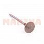 Клапан выпускной оригинал Чери Тигго 481H-1007012BA