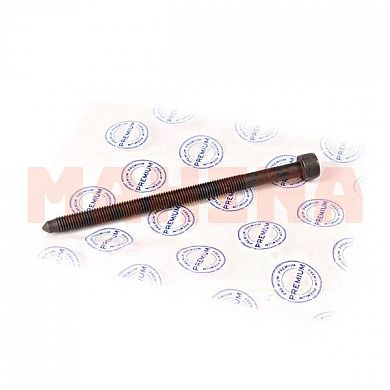 Болт головки блока цилиндров PREMIUM Чери Тиго (PR0417) 481H-1003082
