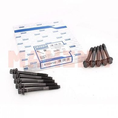 Болт головки блока цилиндров (ком-кт 10 шт) AJUSA Чери Истар SMD191470