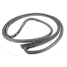 Уплотнитель двери передней правой Чери Тигго T11-5402420 - mahina.in.ua