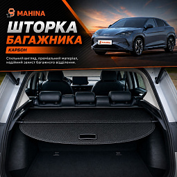 Шторка багажника (карбон) Бид Си Лайн 07 shtorka-lion7 - mahina.in.ua