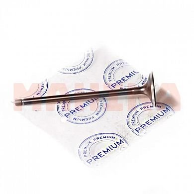 Клапан впускной PREMIUM Бид Ф3 (PR0686) 476Q-1007001
