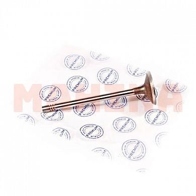 Клапан впускной PREMIUM Чери Карри (PR0663) 480E-1007011