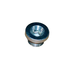 Болт сливной масла Чери Тигго 8 (T18) 1200015566 - mahina.in.ua