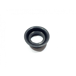 Сальник свечного колодца Чери Истар SMD198128 - mahina.in.ua