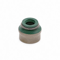 Сальник клапана Чери Тигго 5 (T21) 481H-1007020 - mahina.in.ua