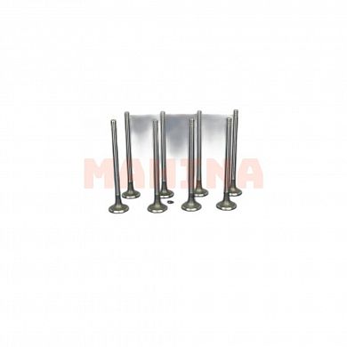 Клапан выпускной ASIAN Чери Тигго 2 (A13T) 477F-1007012