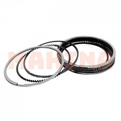 Кольца поршневые 0.25 Чери Тиго 481FD-1004030BA