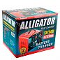 Зарядное устройство для АКБ ALLIGATOR 20A, 12/24В AC809