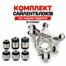 Комплект сайлентблоков на заднюю подвеску (в кулак) Бид Сонг Л TA70/EKEB - mahina.in.ua