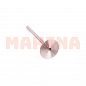 Клапан впускной INA-FOR Чери Тигго 481H-1007011BA