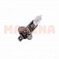 Лампа галогенная BOSCH (+30%) Бид Ф0 P14.5s 12V 55W