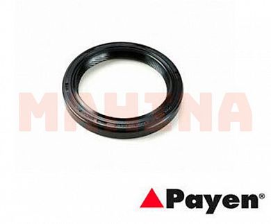 Сальник распредвала задний PAYEN МГ 6 (Морис Гараж) LUC100220