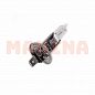 Лампа галогенная BOSCH (+30%) Чери Элара P14.5s 12V 55W