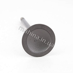 Клапан впускной Чери Карри 480E-1007011 - mahina.in.ua