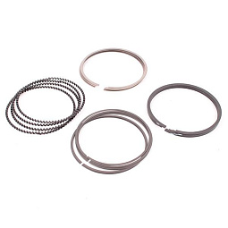 Кольца поршневые 0.25 Чери Тигго 5 (T21) 484J-1004030BA - mahina.in.ua
