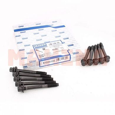 Болт головки блока цилиндров (ком-кт 10 шт) AJUSA Чери Тиго SMD191470