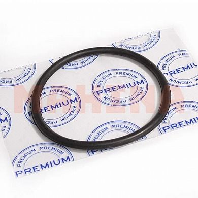 Прокладка топливного насоса (кольцо) PREMIUM Бид Ф3 (PR0907) 10133398-00