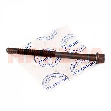 Болт головки блока цилиндров PREMIUM Чери Амулет (PR0418) 480-1003082