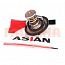 Термостат ASIAN Чери Истар