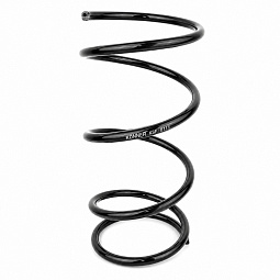 Пружина подвески передней Чери Тигго 3 (T11FL3) T11-2902011 - mahina.in.ua