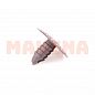 Клипса обшивки потолка оригинал Чери Элара B11-8402225