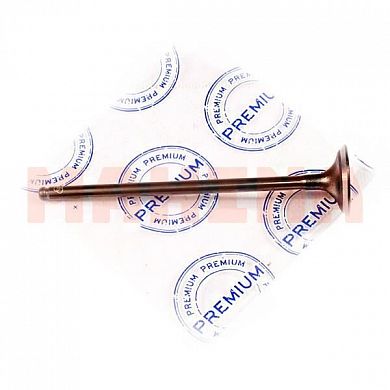 Клапан впускной PREMIUM Бид Ф3 (PR0680) 10149641-00