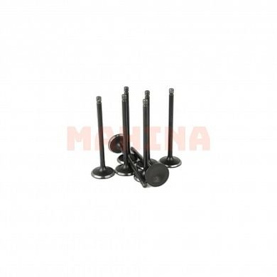 Клапан впускной ASIAN Чери Кросс Истар SMD159502
