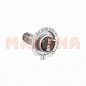 Лампа галогенная BREVIA Чери Элара 12V 55W PX26d