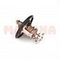 Термостат RIDER Чери Истар SMD315301