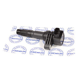 Катушка зажигания 1.5 (QE) Бид Ф3 10665006-00 - mahina.in.ua